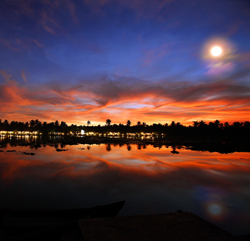 Philip Kutty