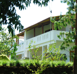 Windermere Estate, Munnar