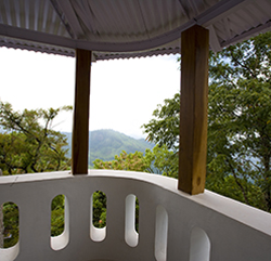 Windermere Estate, Munnar