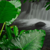 Costa Rica Highlights