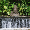 Tabacon Grand Spa Thermal Resort