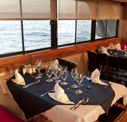 The Eric, Letty and Flamingo Yachts, Galapagos Islands