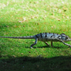 Isalo National Park