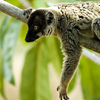 Classic Madagascar Overland