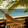 Madagascar Nature and Nurture in the North