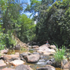 Southern Madagascar Forest and Beach Holiday