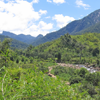 Madagascar Wildlife Discovery Tours