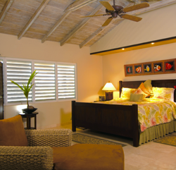 Palm Island, Palm Island