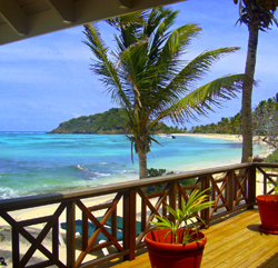 Palm Island, Palm Island