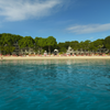 The Caribbean