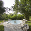 Parrot Cay