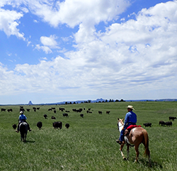 New Haven Ranch, Wyoming